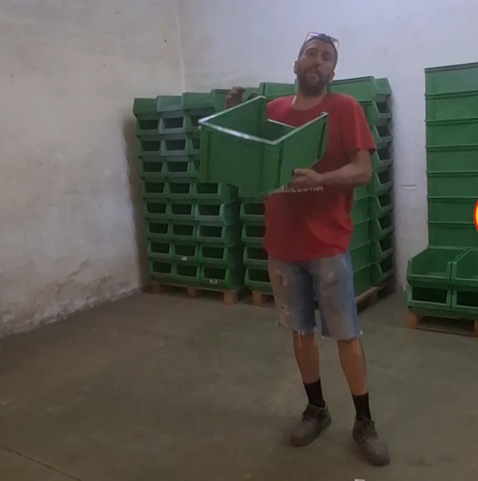 Cajas de plástico verdes y material de almacén