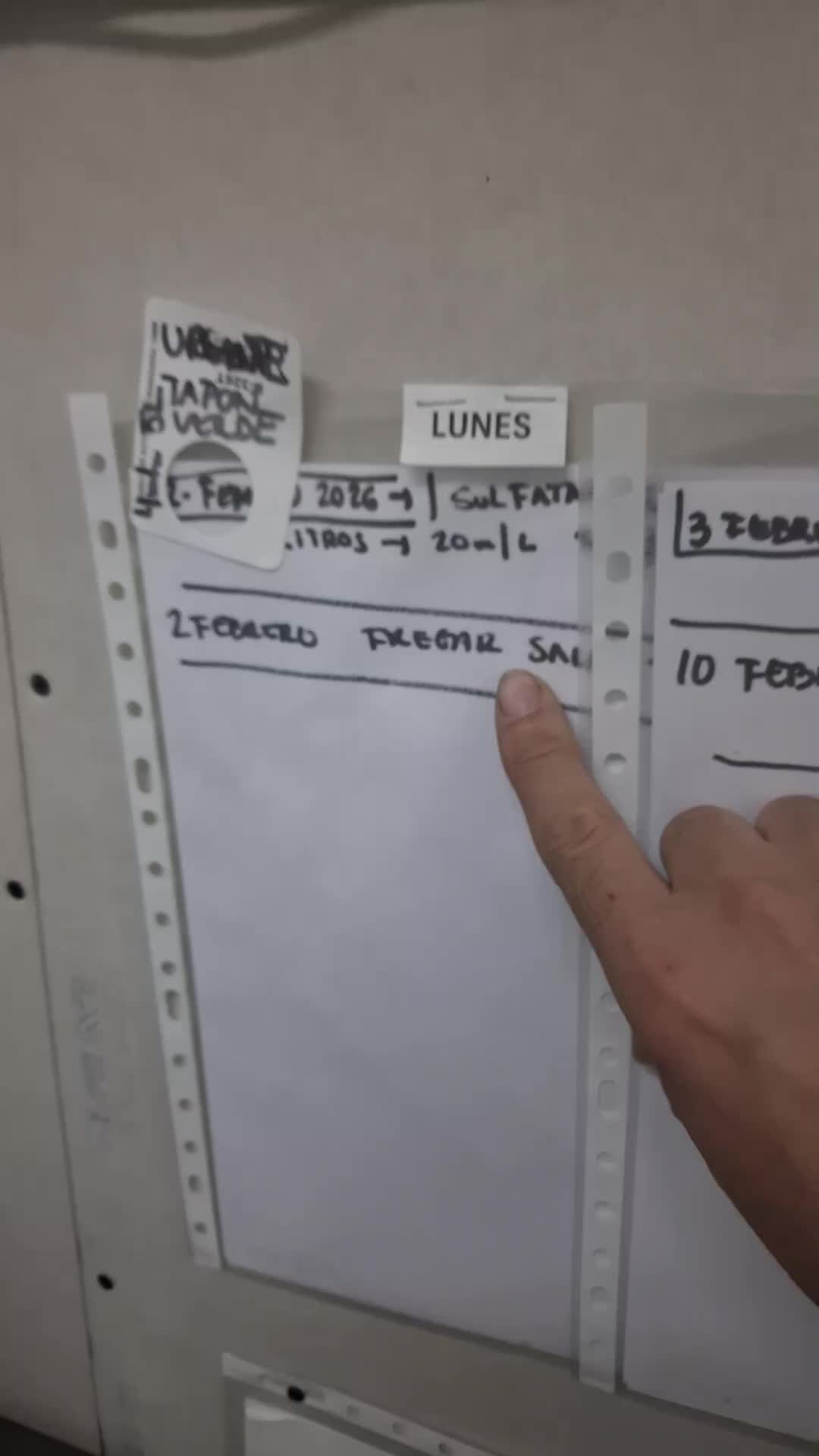 TikTok · Plantación 3