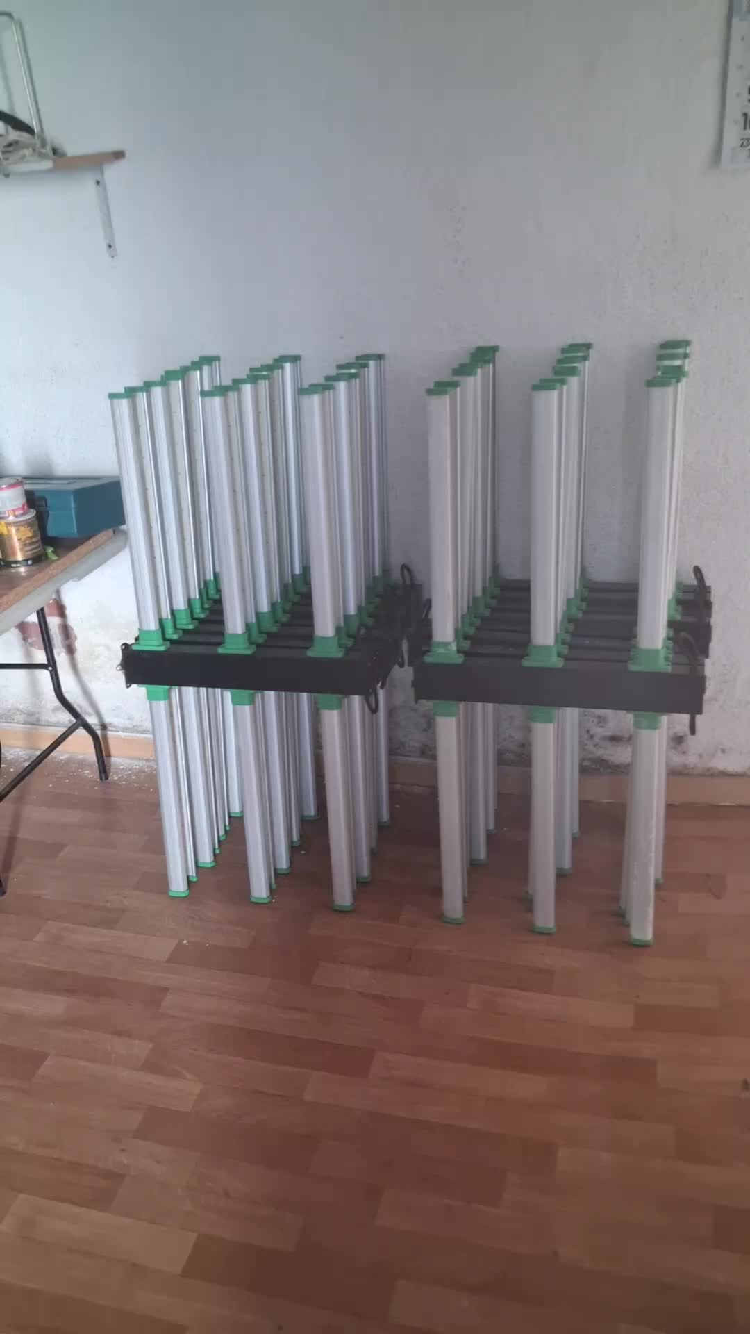 TikTok · Plantación 5