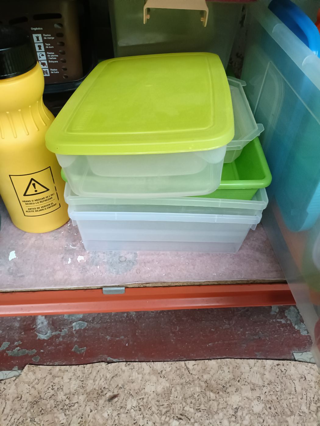 Táper plástico con tapa verde para almacenar alimentos