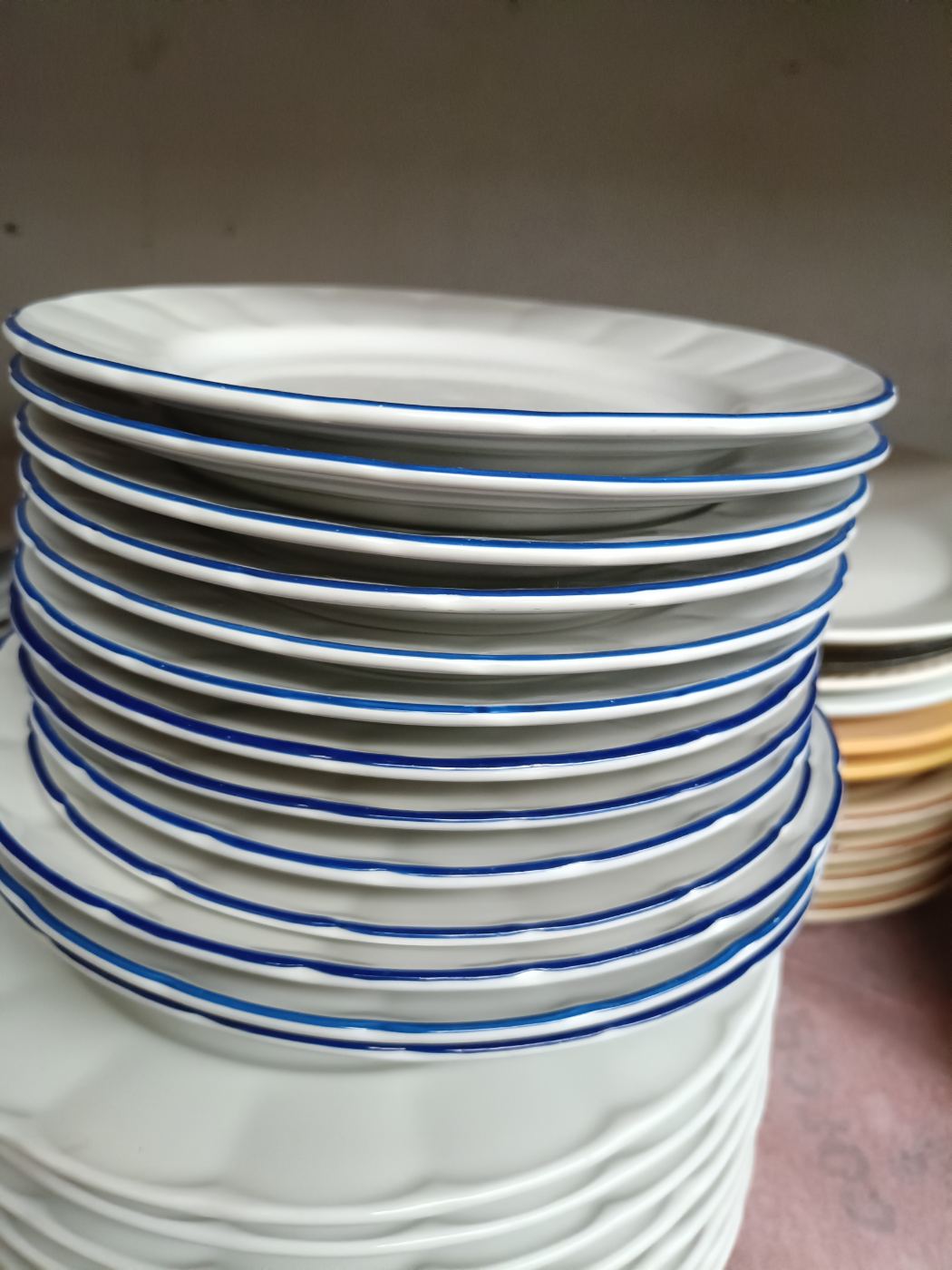Conjunto de platos blancos con borde azul, varios disponibles