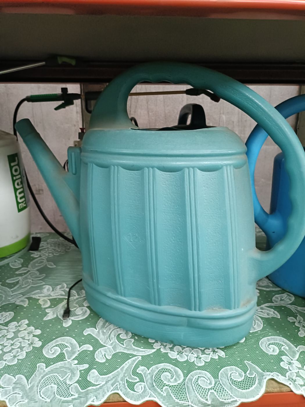 Regadera azul para jardín y plantas